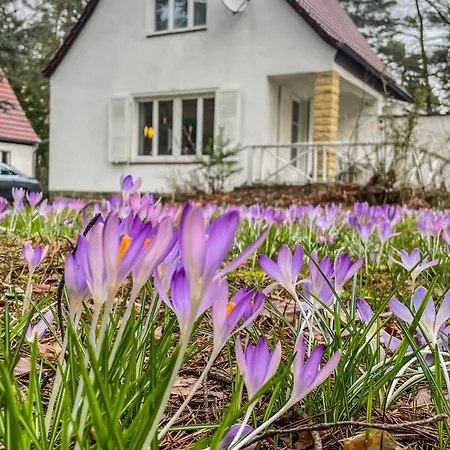 Ferienhaus am weißen Adler-3